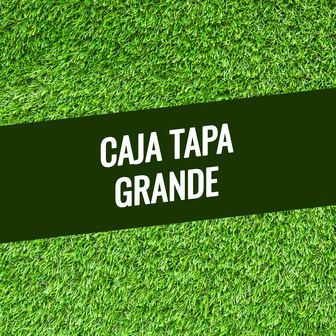CAJA TAPA GRANDE