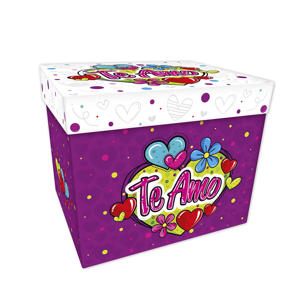 CAJA TAPA 25
