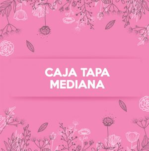 CAJA TAPA MEDIANA