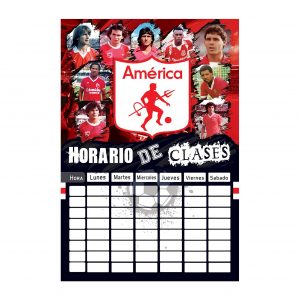 HN4-24 (AMERICA IDOLOS)