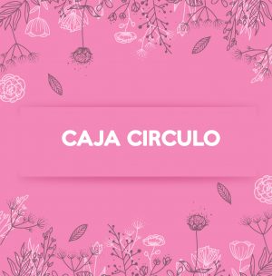 CAJA CIRCULO 2011