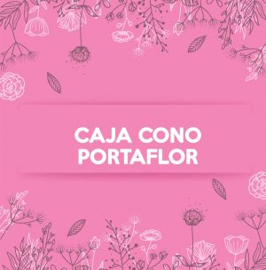 CAJA CONO PORTA FLOR